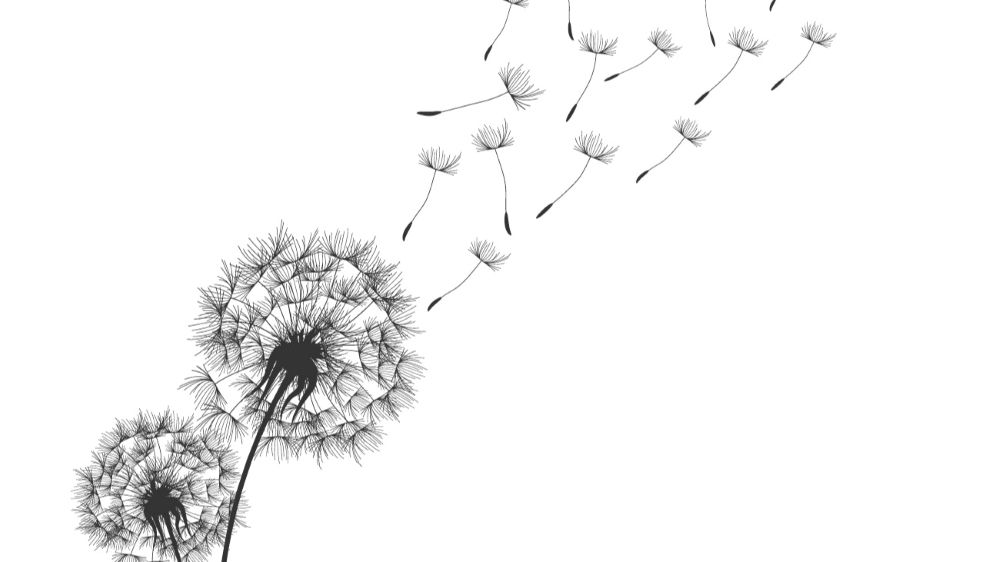 Afbeelding van Layerace op Freepik