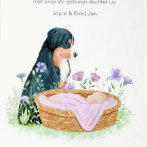 Belofte aan de liefde - Joyce de Baan - van Wijk & Thérèse Evers