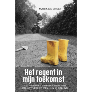 Het regent in mijn toekomst - Maria de Greef