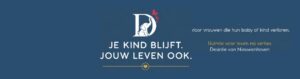 Desirée van Nieuwenhoven - Ruimte voor Leven na Verlies