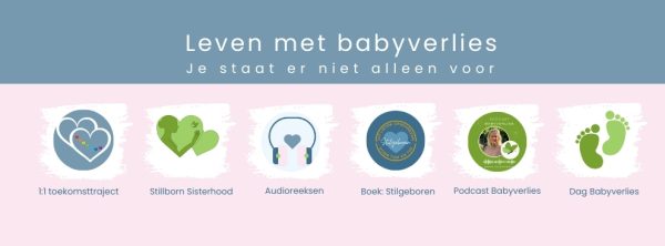 contact@desireevannieuwenhoven.nl